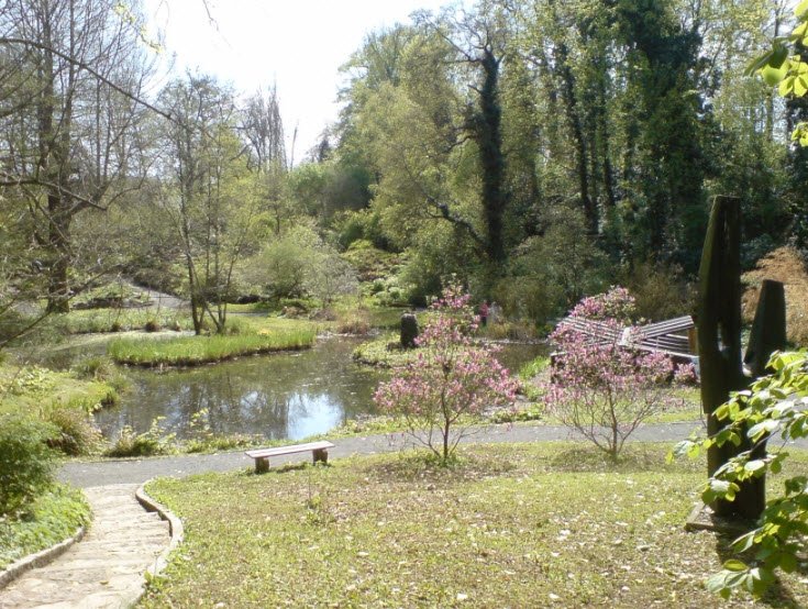 Forestry Botanical Garden and Arboretum, Göttingen, Germany, Germany